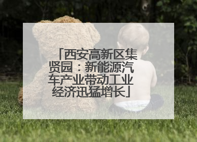 西安高新区集贤园：新能源汽车产业带动工业经济迅猛增长