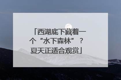 西湖底下藏着一个“水下森林”？夏天正适合观赏
