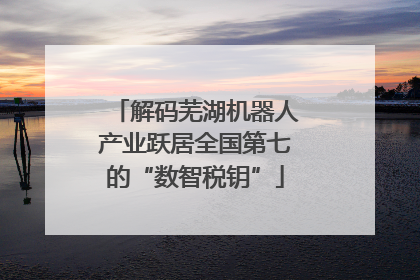 解码芜湖机器人产业跃居全国第七的“数智税钥”