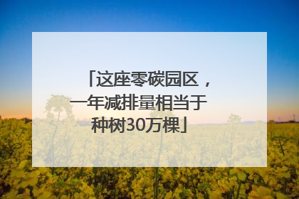 这座零碳园区，一年减排量相当于种树30万棵