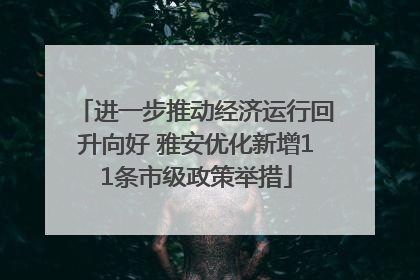 进一步推动经济运行回升向好 雅安优化新增11条市级政策举措