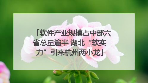 软件产业规模占中部六省总量逾半 湖北“软实力”引来杭州两小龙
