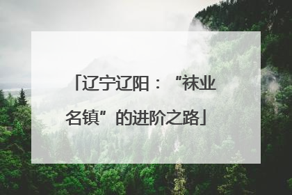 辽宁辽阳：“袜业名镇”的进阶之路