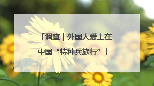 调查｜外国人爱上在中国“特种兵旅行”
