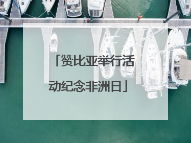 赞比亚举行活动纪念非洲日