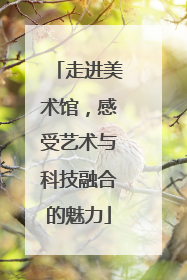 走进美术馆，感受艺术与科技融合的魅力