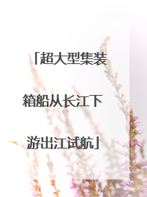 超大型集装箱船从长江下游出江试航