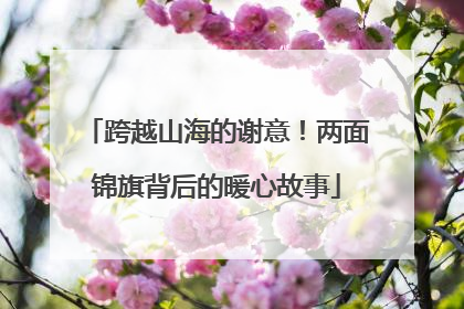 跨越山海的谢意！两面锦旗背后的暖心故事