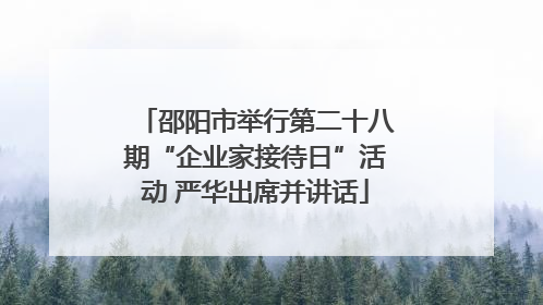 邵阳市举行第二十八期“企业家接待日”活动 严华出席并讲话