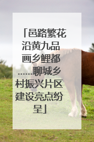 邑路繁花 沿黄九品 画乡鲤都……聊城乡村振兴片区建设亮点纷呈