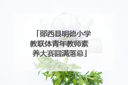 郧西县明德小学教联体青年教师素养大赛圆满落幕