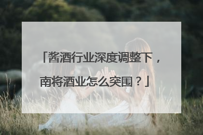 酱酒行业深度调整下，南将酒业怎么突围？