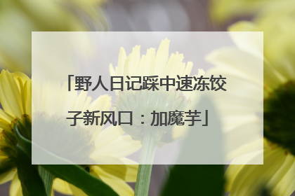 野人日记踩中速冻饺子新风口：加魔芋