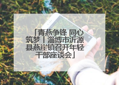 青燕争锋 同心筑梦丨淄博市沂源县燕崖镇召开年轻干部座谈会