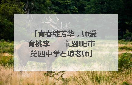 青春绽芳华，师爱育桃李——记邵阳市第四中学石琼老师