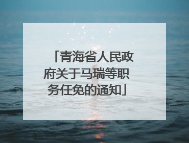 青海省人民政府关于马瑞等职务任免的通知
