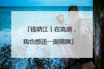钱塘江丨在高原，我也想送一面锦旗