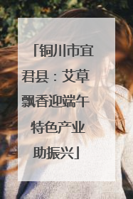 铜川市宜君县：艾草飘香迎端午 特色产业助振兴