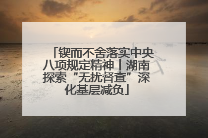 锲而不舍落实中央八项规定精神丨湖南探索“无扰督查”深化基层减负