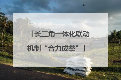 长三角一体化联动机制“合力成拳”
