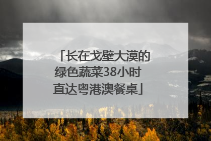 长在戈壁大漠的绿色蔬菜38小时直达粤港澳餐桌