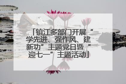 镇江多部门开展“学先进、强作风、建新功”主题党日暨“迎七一”主题活动