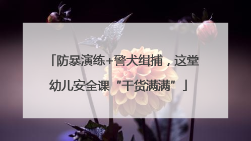 防暴演练+警犬缉捕，这堂幼儿安全课“干货满满”
