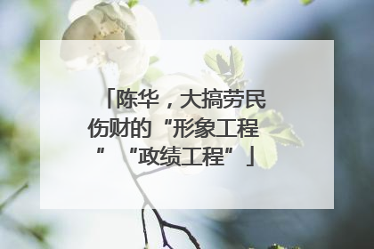 陈华，大搞劳民伤财的“形象工程”“政绩工程”