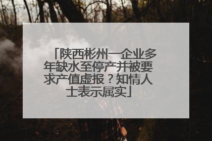 陕西彬州一企业多年缺水至停产并被要求产值虚报？知情人士表示属实