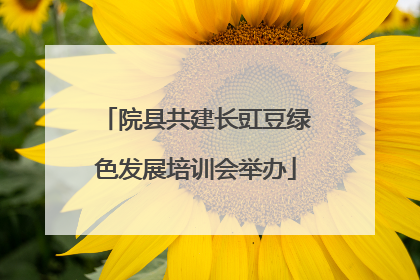 院县共建长豇豆绿色发展培训会举办
