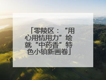 零陵区：“用心用情用力”绘就“中药香”特色小镇新画卷