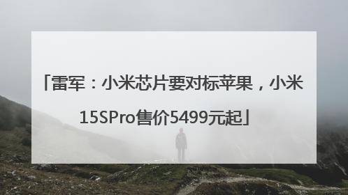 雷军：小米芯片要对标苹果，小米15SPro售价5499元起
