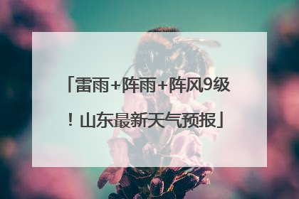 雷雨+阵雨+阵风9级！山东最新天气预报
