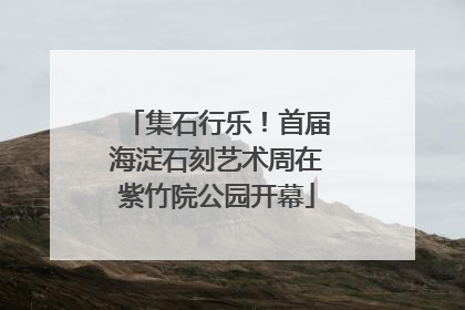 集石行乐！首届海淀石刻艺术周在紫竹院公园开幕