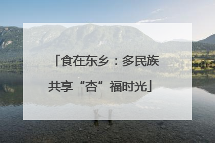 食在东乡：多民族共享“杏”福时光