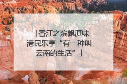 香江之滨飘滇味 港民乐享“有一种叫云南的生活”