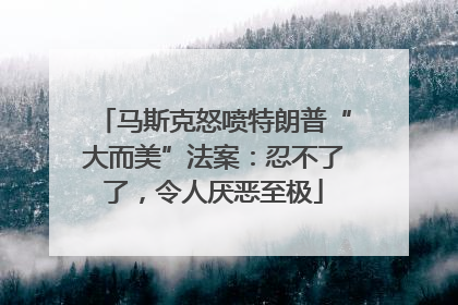 马斯克怒喷特朗普“大而美”法案：忍不了了，令人厌恶至极