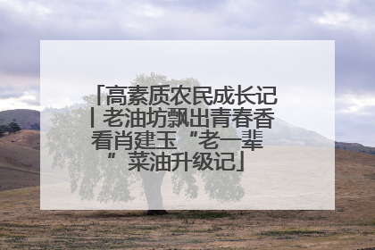 高素质农民成长记丨老油坊飘出青春香 看肖建玉“老一辈”菜油升级记