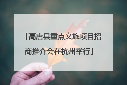 高唐县重点文旅项目招商推介会在杭州举行