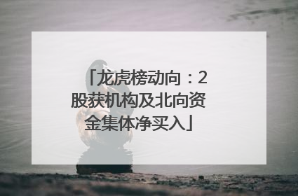 龙虎榜动向：2股获机构及北向资金集体净买入