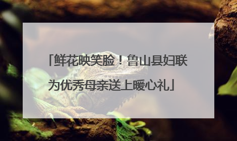 鲜花映笑脸！鲁山县妇联为优秀母亲送上暖心礼