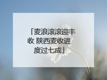 麦浪滚滚迎丰收 陕西麦收进度过七成