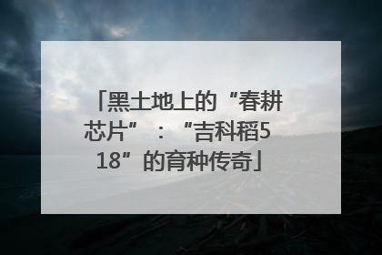 黑土地上的“春耕芯片”：“吉科稻518”的育种传奇