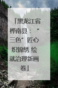 黑龙江省桦南县：“三色”匠心织锦绣 绘就治理新画卷