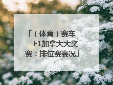 （体育）赛车——F1加拿大大奖赛：排位赛赛况
