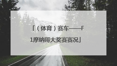 （体育）赛车——F1摩纳哥大奖赛赛况