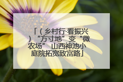 （乡村行·看振兴）“方寸地”变“微农场” 山西神池小庭院拓宽致富路