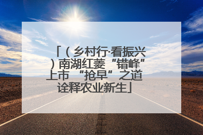 （乡村行·看振兴）南湖红菱“错峰”上市 “抢早”之道诠释农业新生