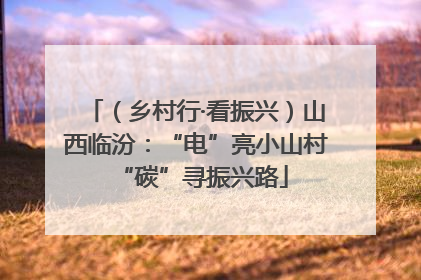 （乡村行·看振兴）山西临汾：“电”亮小山村 “碳”寻振兴路