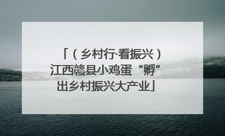 （乡村行·看振兴）江西赣县小鸡蛋“孵”出乡村振兴大产业